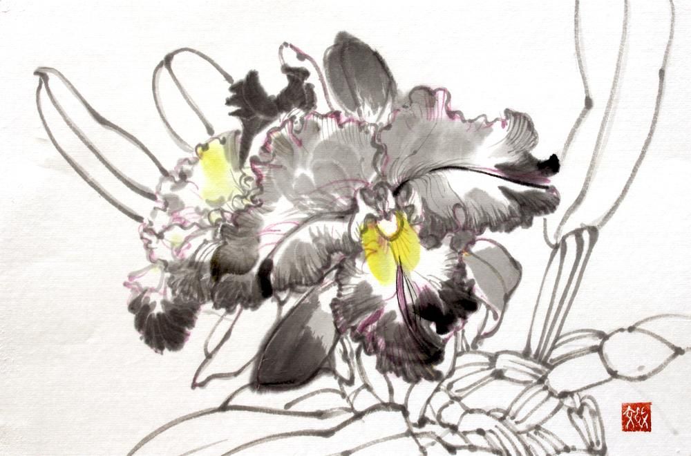orchid3