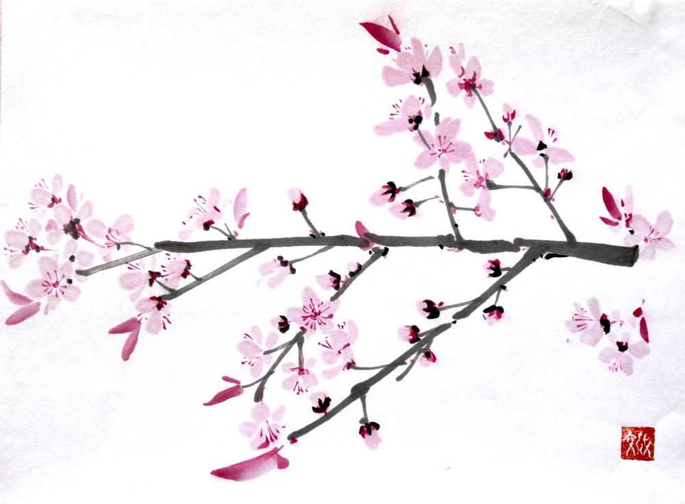 sakura