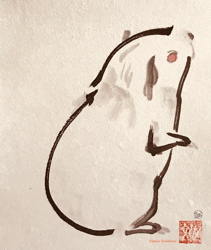 Looking For