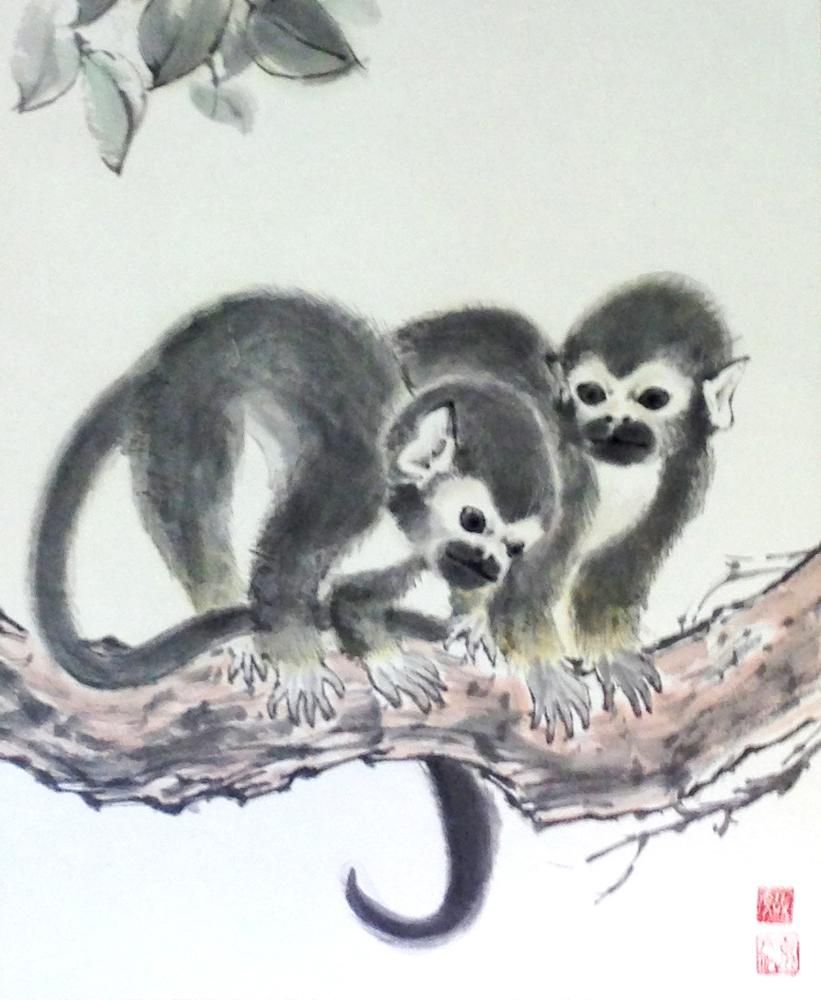 monkeys