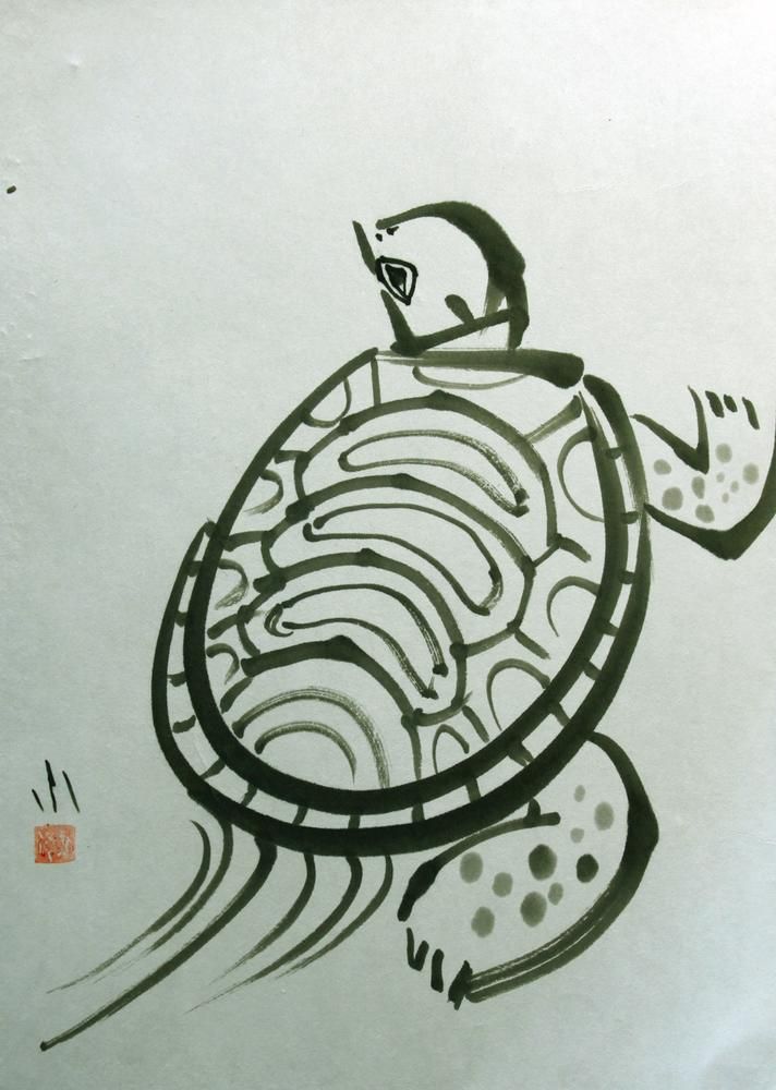 turtle1_fumiyo_yoshikawa