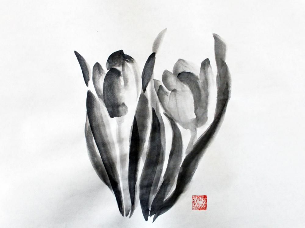 tulips_fumiyo_yoshikawa