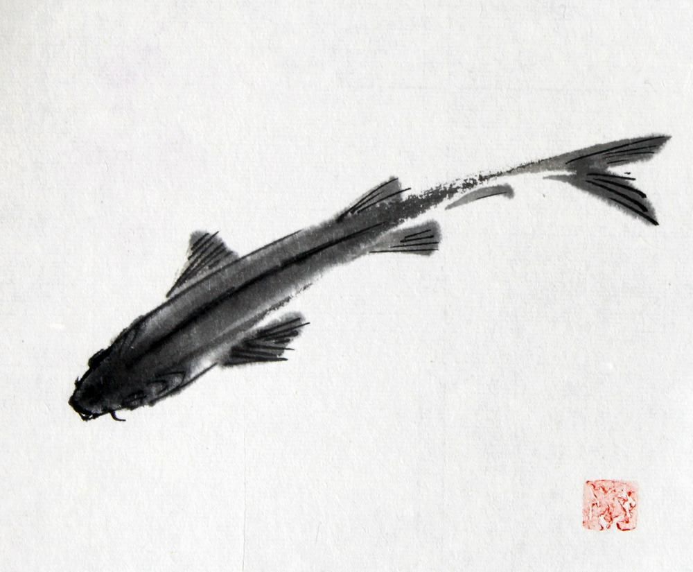 fish_fumiyo_yoshikawa