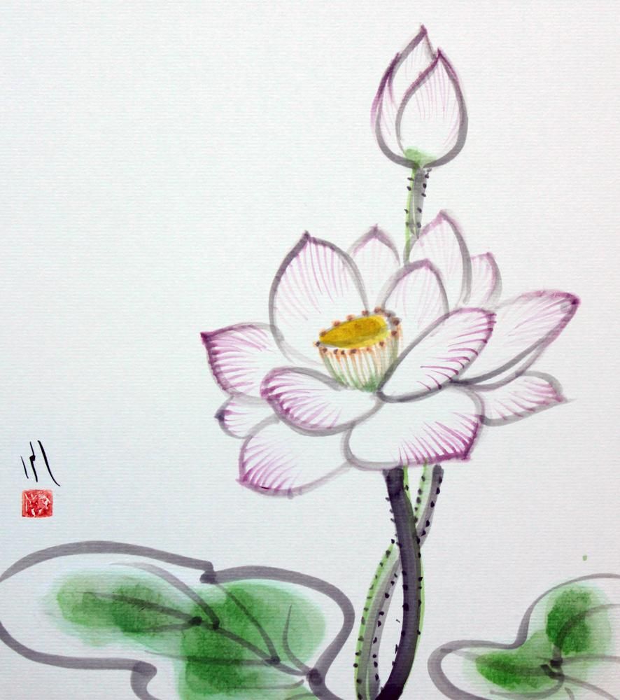 lotus_fumiyo_yoshikawa