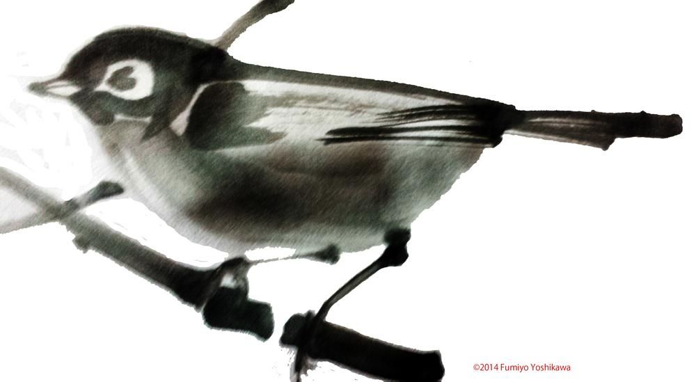 Small Bird