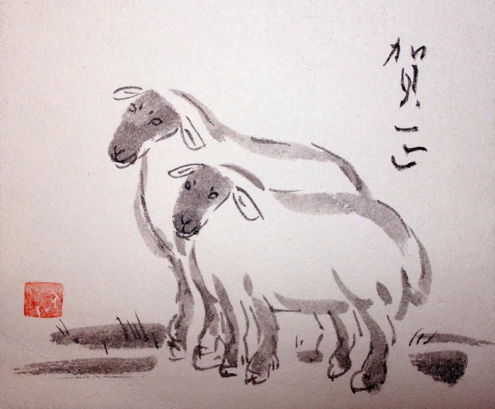 sheep