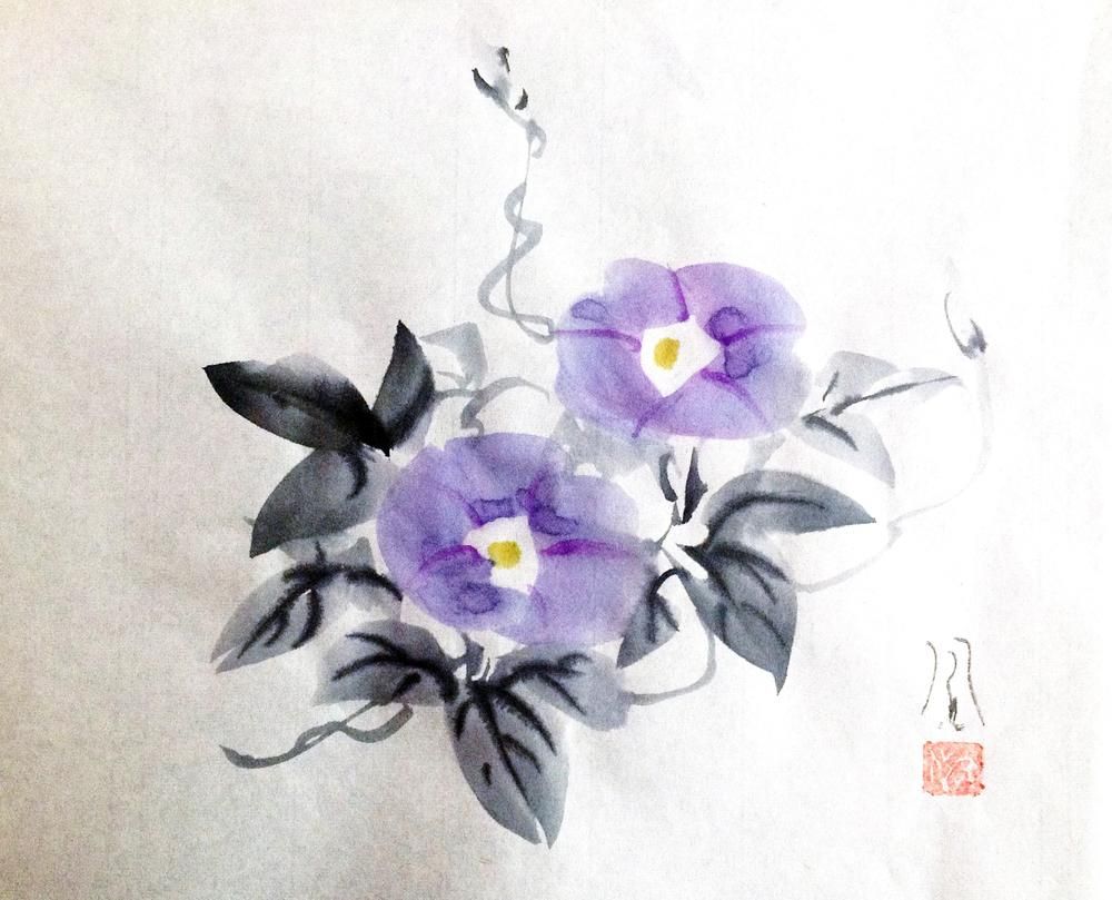 Morning Glory2