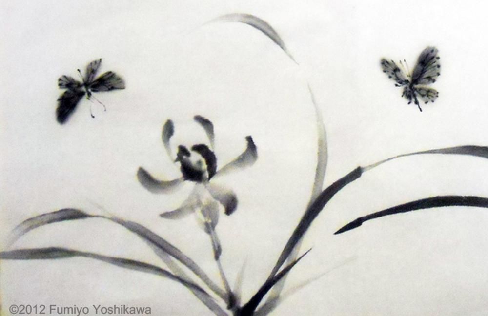 Butterfly and OrchidIris