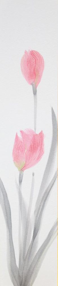 tulip1iris-tanzaku