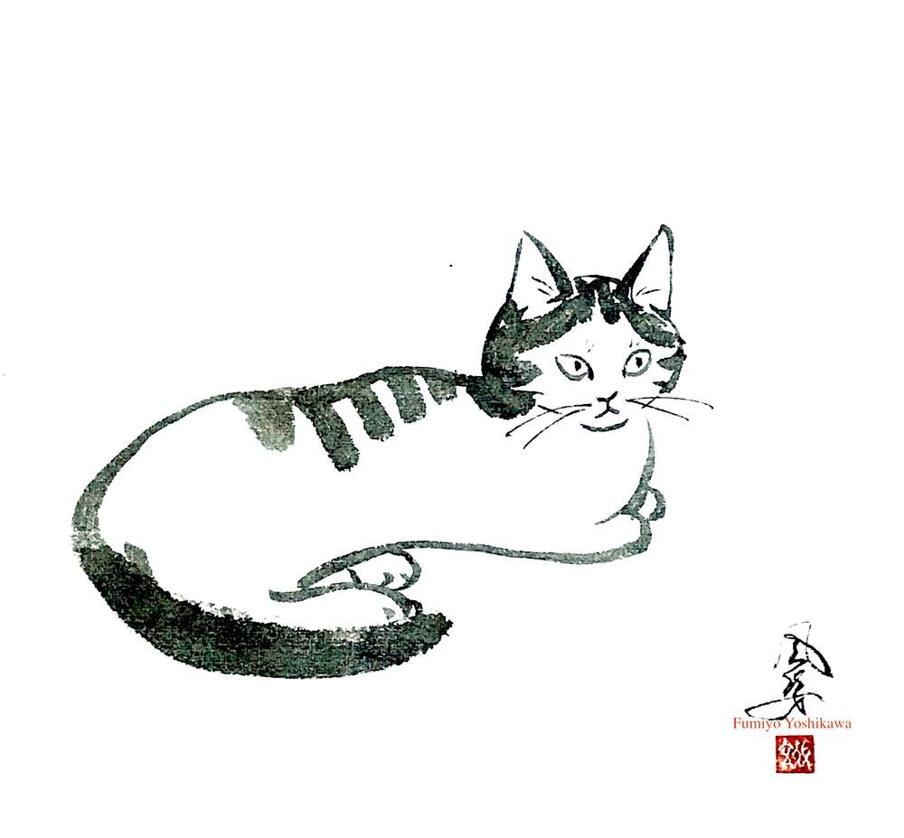 The Cat
